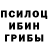 ГЕРОИН хмурый Ketsap