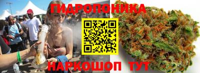 синтетический гашиш Заводоуковск