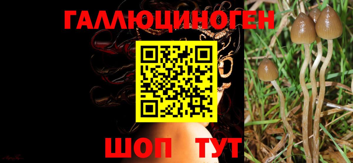 Галлюциногенные грибы мухоморы  Галлюциногенные грибы мухоморы  Ялта  как найти наркотики  Вход с VPN 